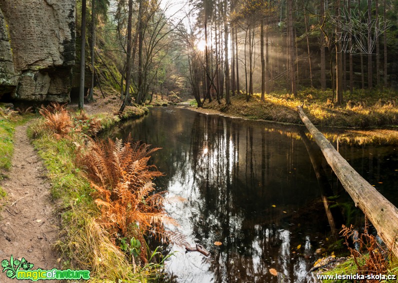 Soutěska Kamenice - Foto Filip Holič