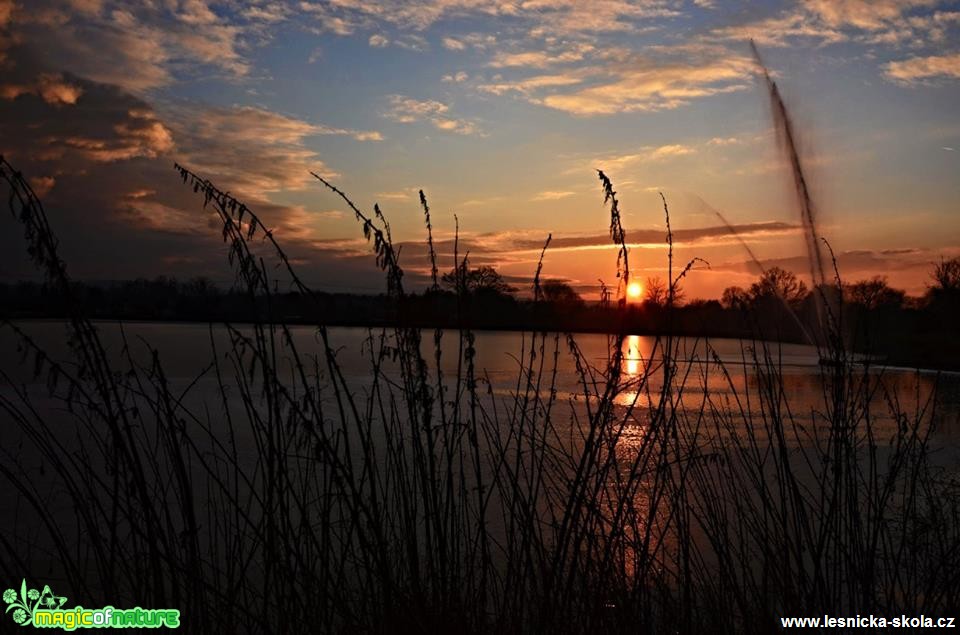 Sluníčko se ukázalo - Foto Marie Vykydalová