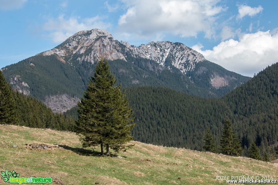 Kominarský vrch - Foto Jozef Pitoňák