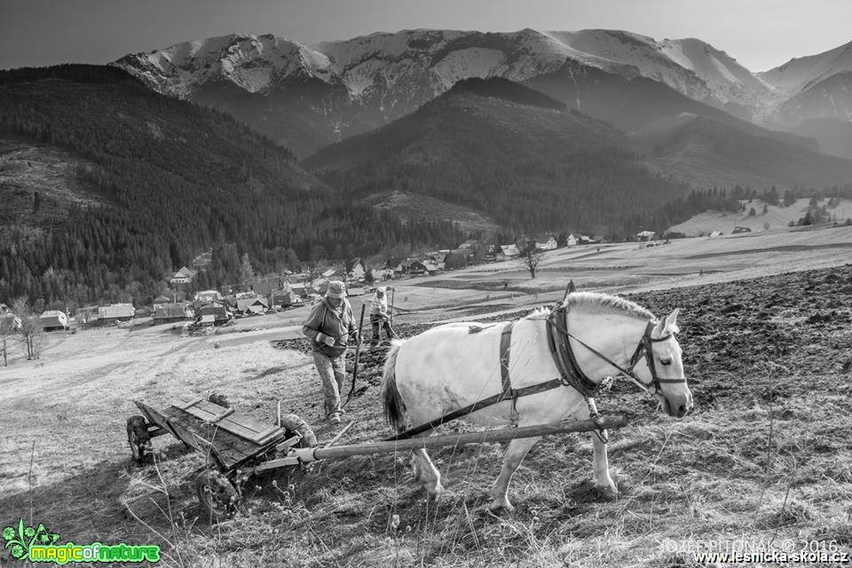 Na horách - Foto Jozef Pitoňák (20)