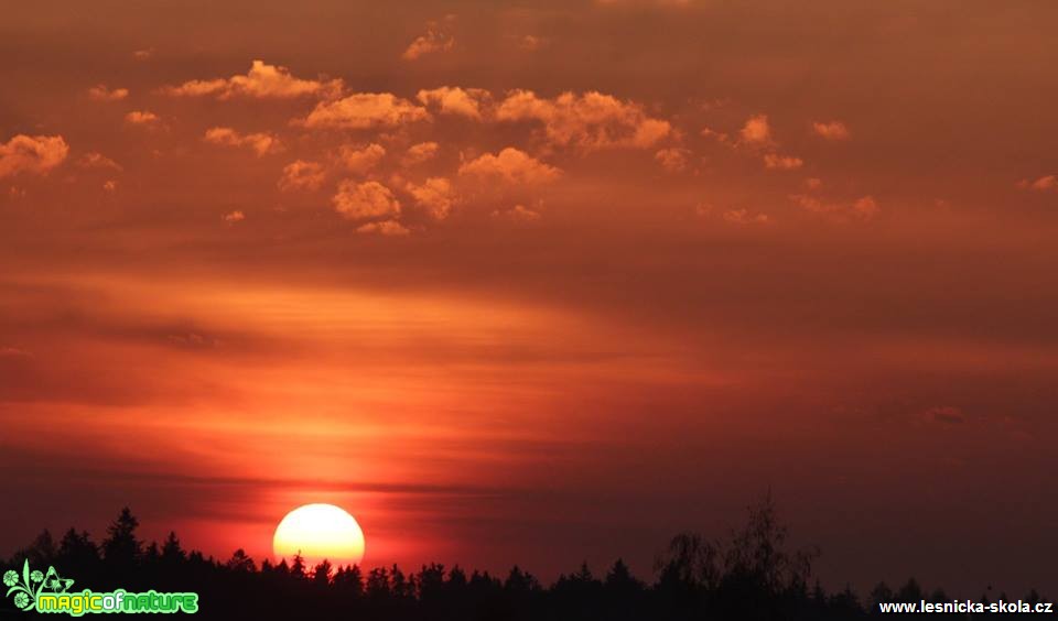 Sluneční kouzlo - Foto Ladislav Jonák (2)