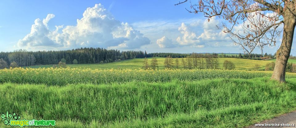 Květnová Vysočina - Foto Ladislav Jonák