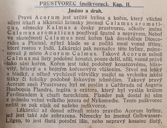 puskvorec-1---m.jpg