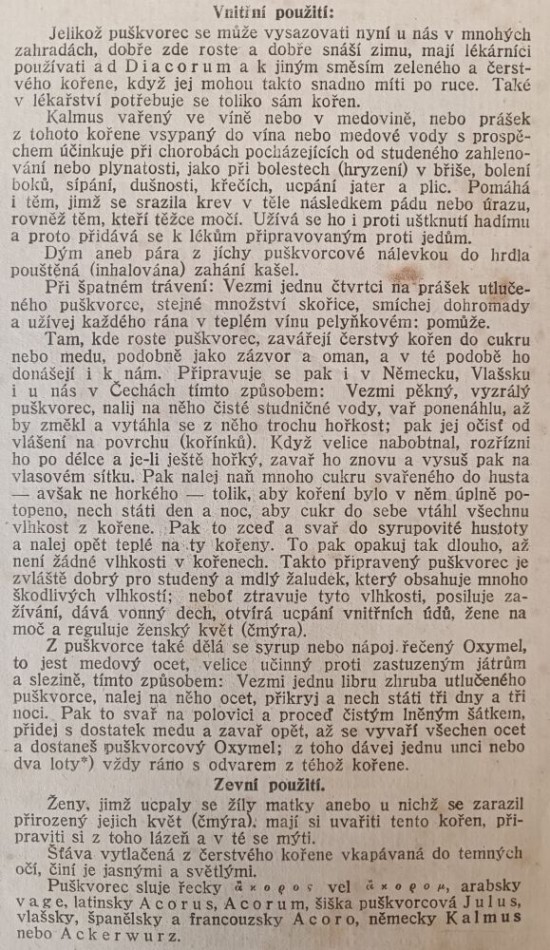 puskvorec-3---m.jpg