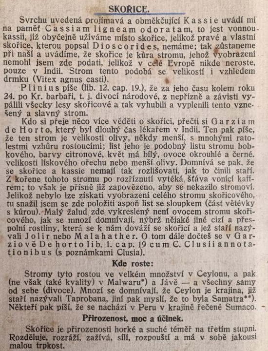 skorice-1---m.jpg