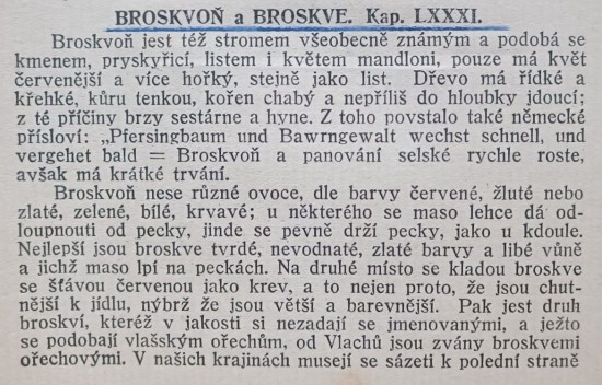 broskvon-1---m.jpg