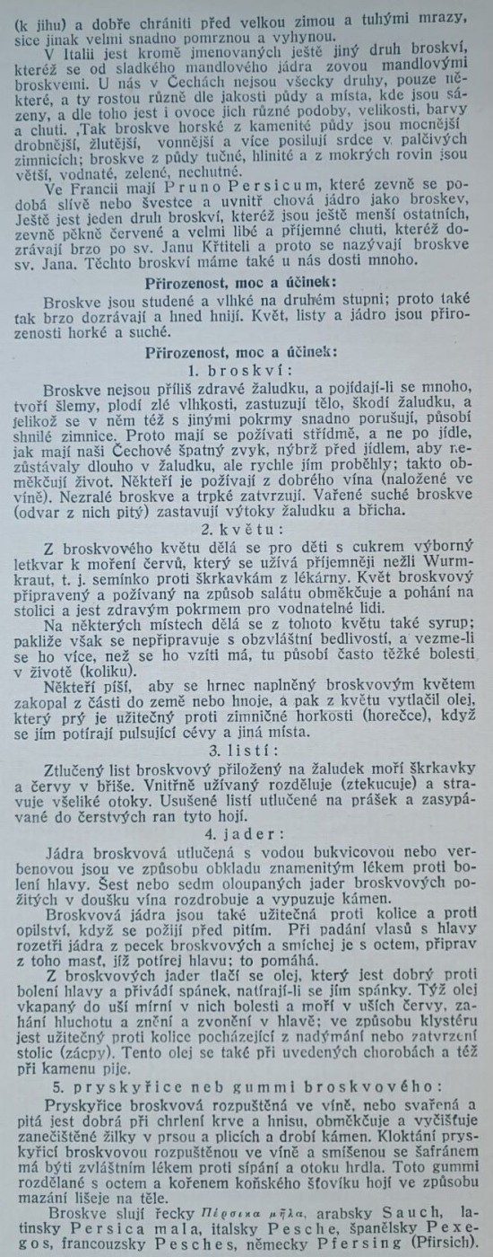 broskvon-2---m.jpg