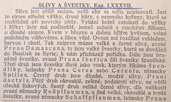 slivy-1---m.jpg