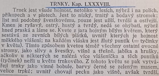 trnky-1---m.jpg