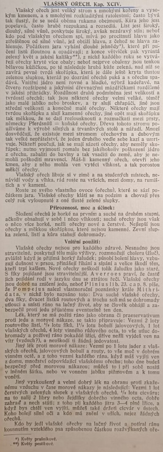 vlassky-orech-1---kopie.jpg