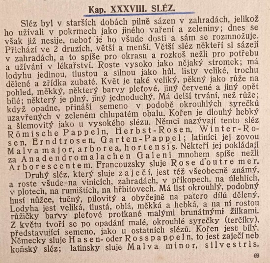 slez-1.jpg
