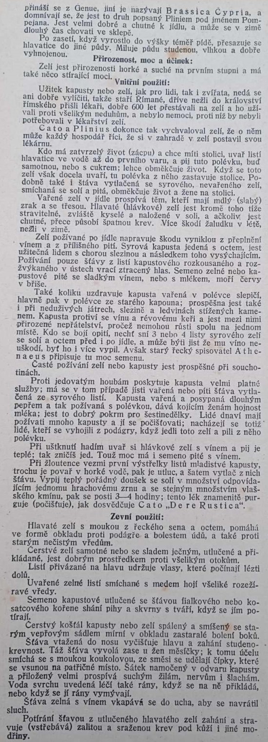 kapusta-aneb-zeli-2.jpg