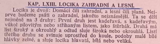 locika-1.jpg