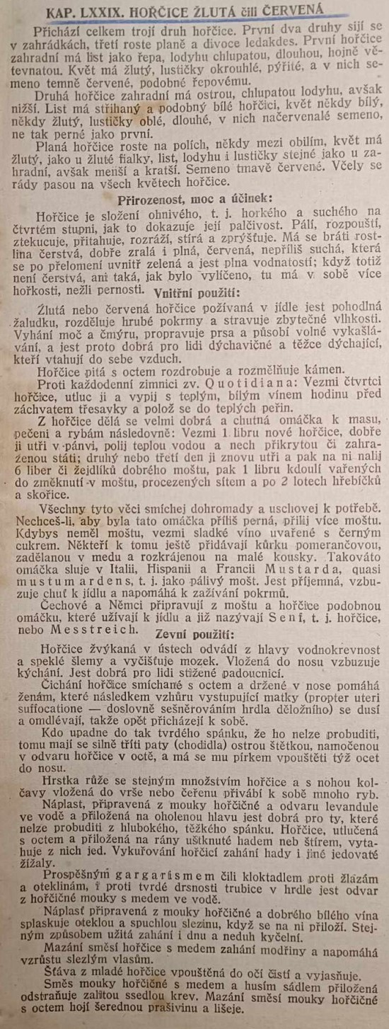 horcice-zluta-1.jpg