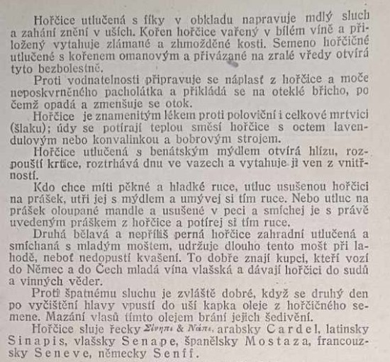horcice-zluta-2.jpg