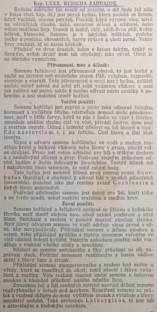 rericha-1.jpg