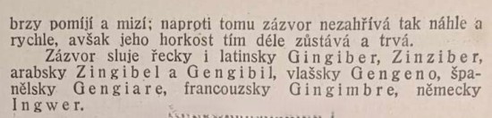 zazvor-dovetek.jpg