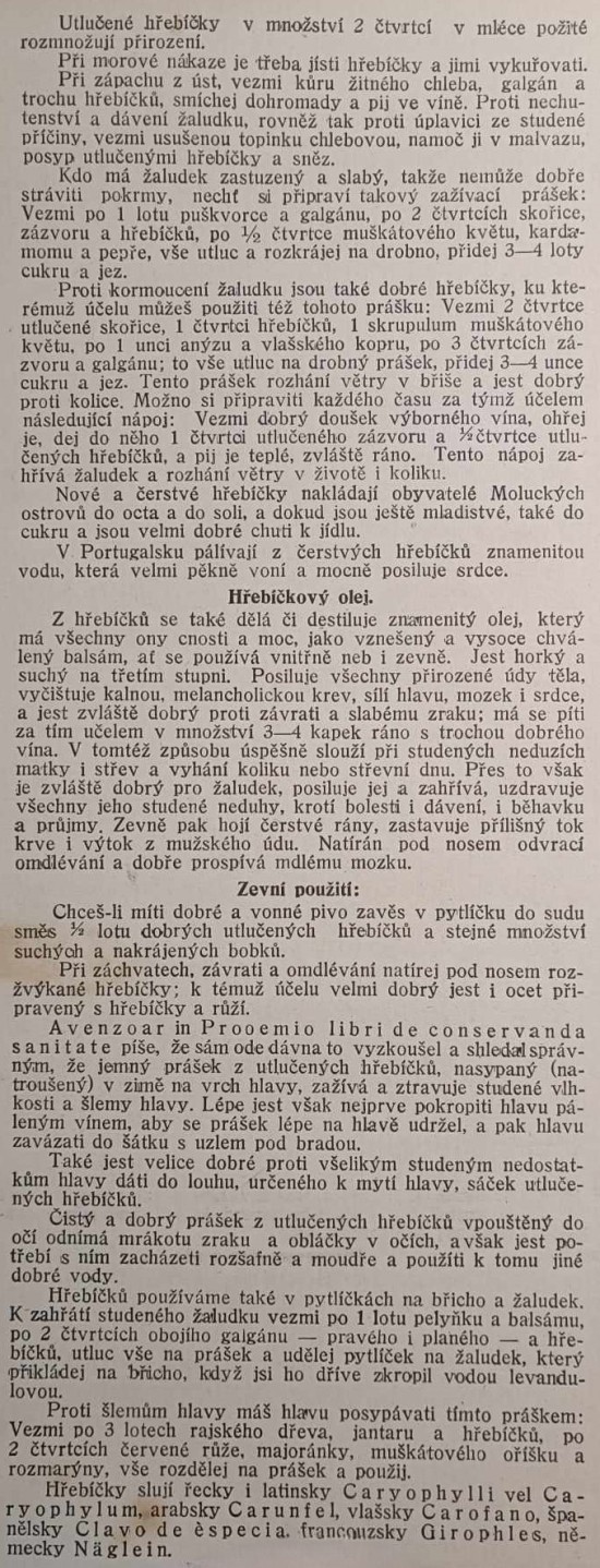 hrebicek-2.jpg