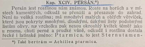 persan---bertram-1.jpg