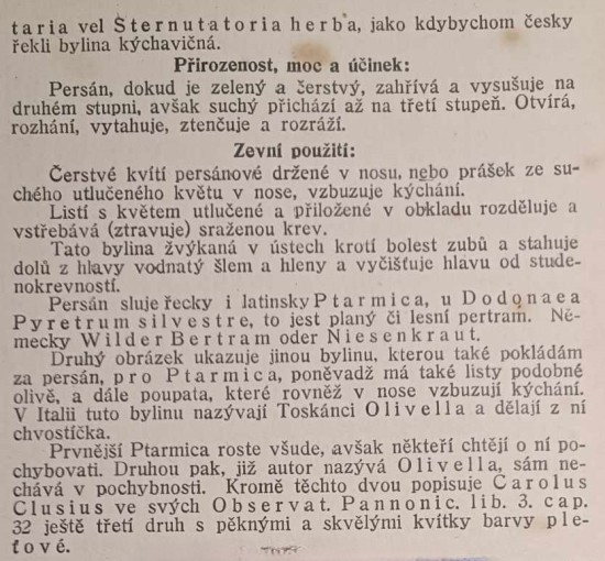 persan---bertram-2.jpg
