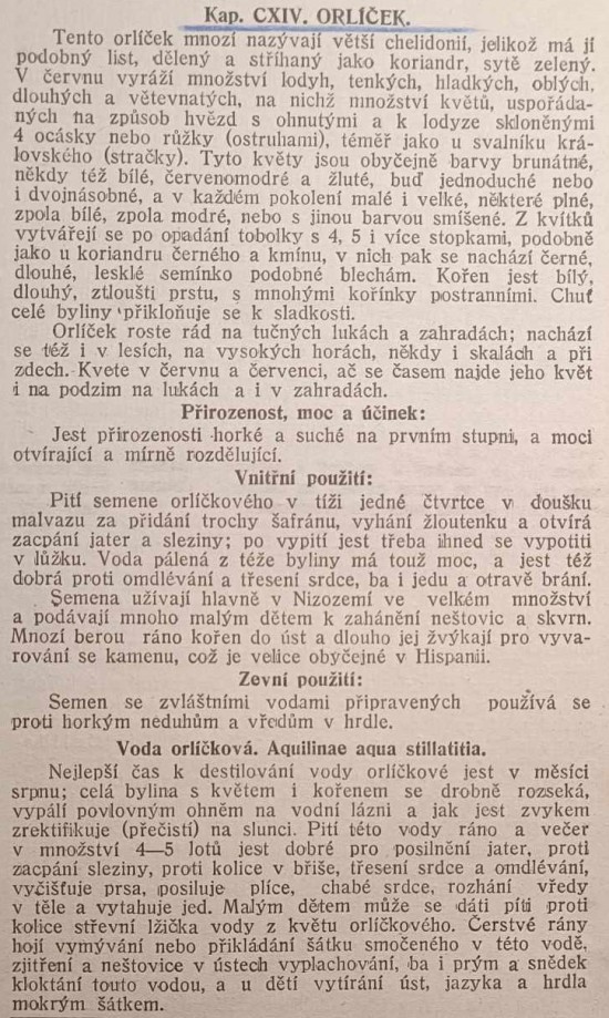 orlicek-1.jpg
